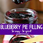 Blueberry Pie Filling