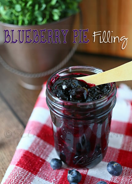 Blueberry Pie Filling from www.kleinworthco.com