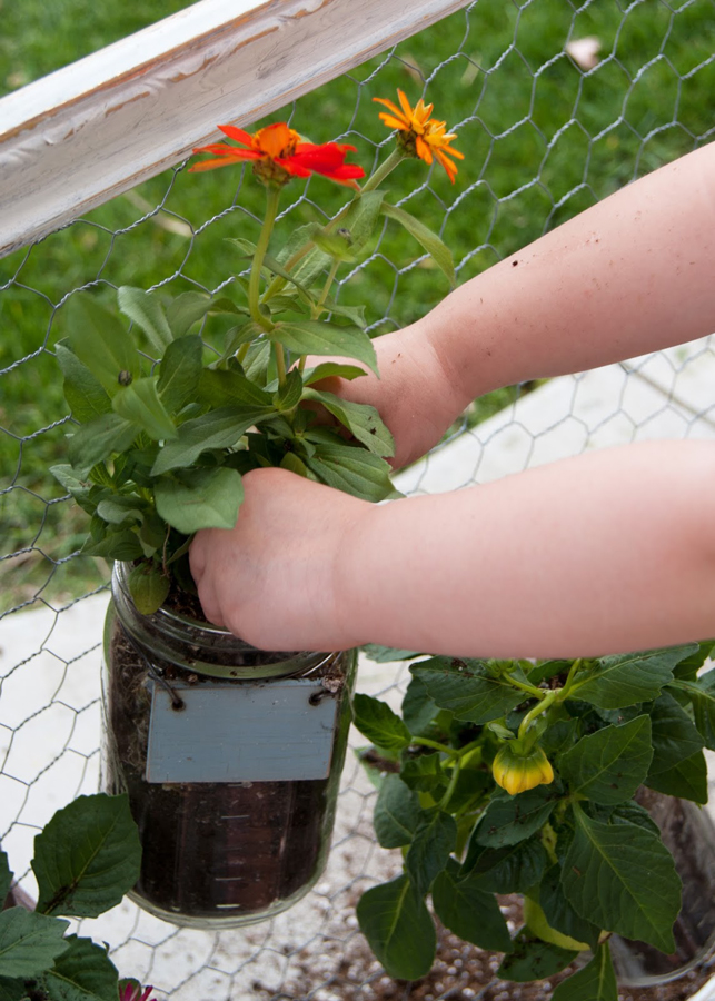 Mason Jar Wall Garden