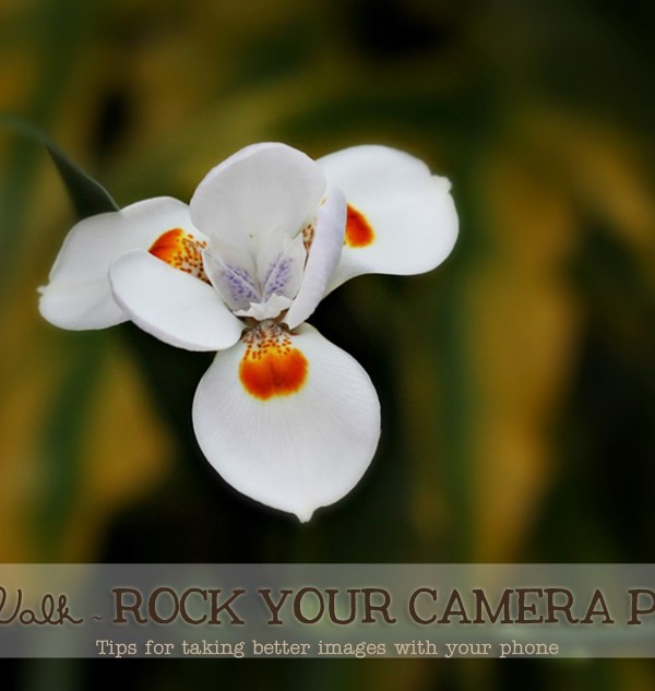 Photo Walk ~ Rock Your Camera Phone on www.kleinworthco.com