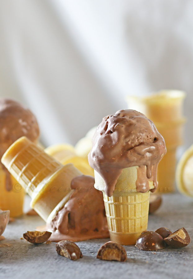  Helado Crujiente Malteado de Chocolate-Ahorrativo