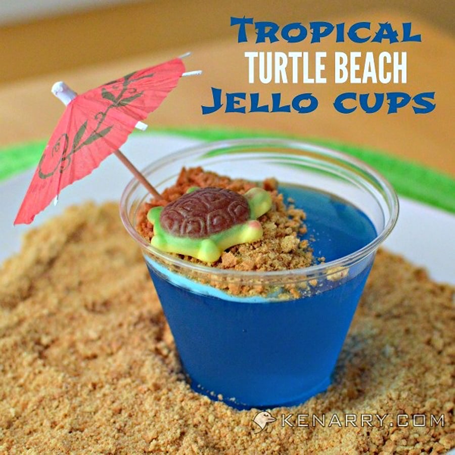 Blue Raspberry Jello Cups for Kids - Tropical Turtle Beach