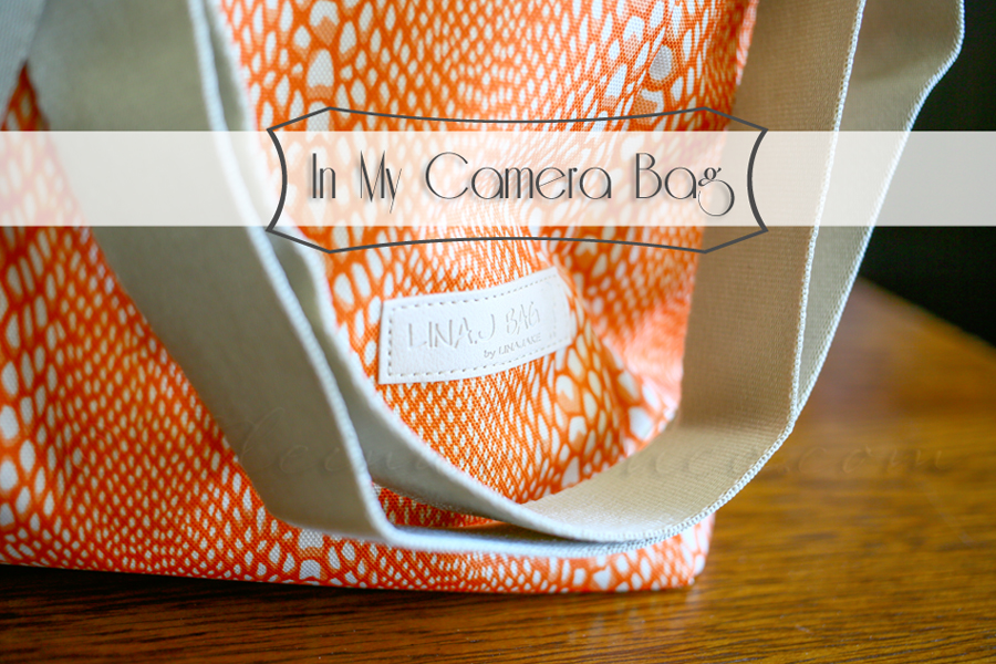 In My Camera Bag {LinaJake Bag}