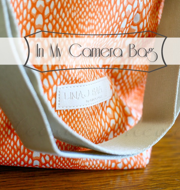 In My Camera Bag {LinaJake Bag}