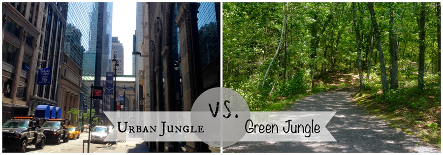 Camera Phone Tips – Urban Jungle vs. Green Jungle