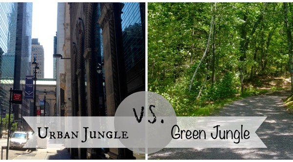 Camera Phone Tips – Urban Jungle vs. Green Jungle