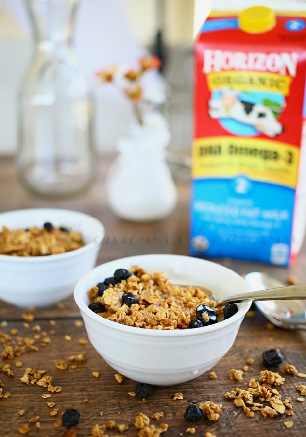 Blueberry Granola Cereal