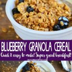 Blueberry Granola Cereal