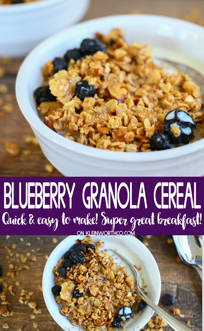 Blueberry Granola Cereal - Taste of the Frontier