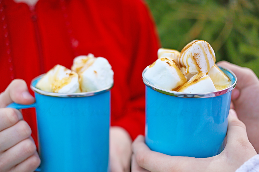 Pumpkin Pie Hot Chocolate