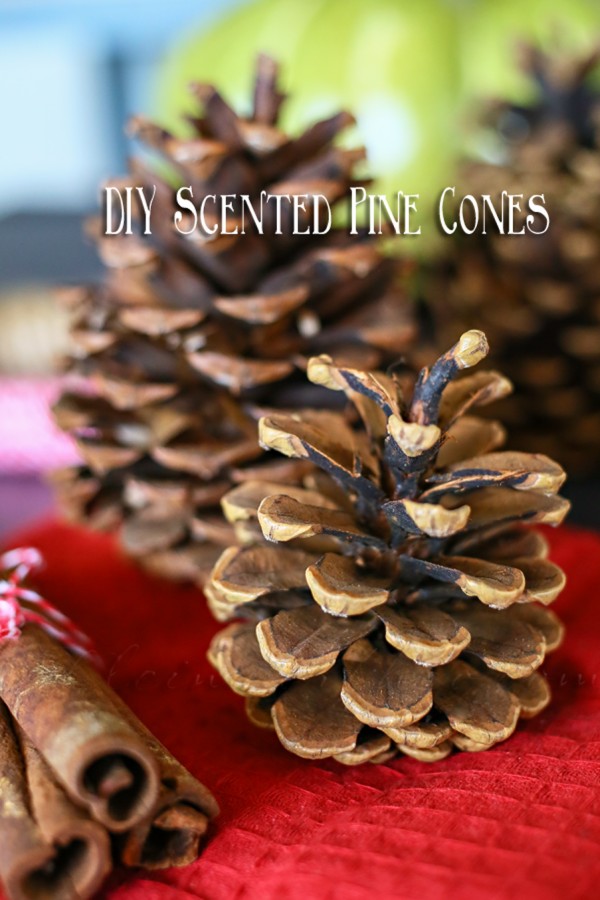 DIY Scented Pine Cones