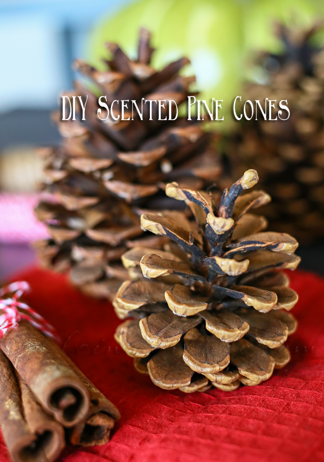 DIY Scented Pine Cones