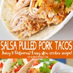 Salsa Pulled Pork Tacos