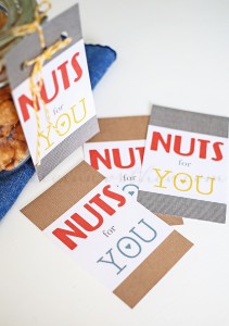 Nuts for You Valentine {Free Printable Valentines} - Yummi Haus