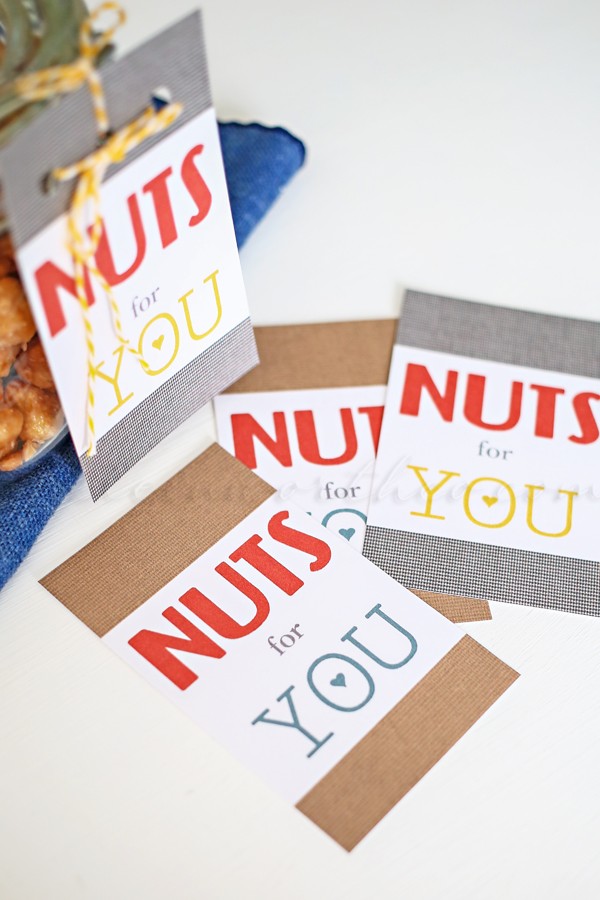 Nuts for You Valentine