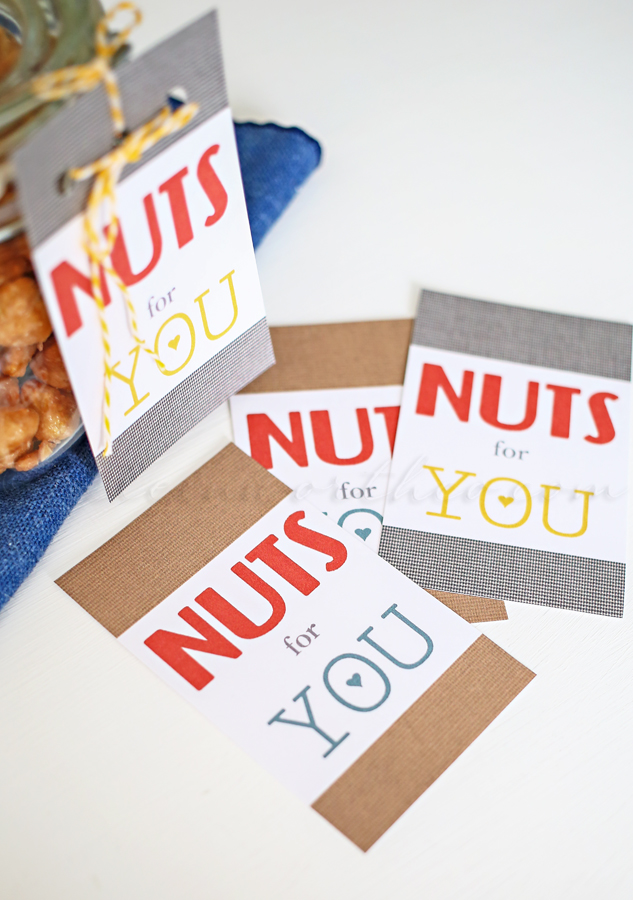 Nuts for You Valentine, Valentine Gifts for Him, Valentine Ideas