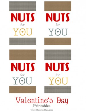 Nuts for You Valentine {Free Printable Valentines} - Yummi Haus