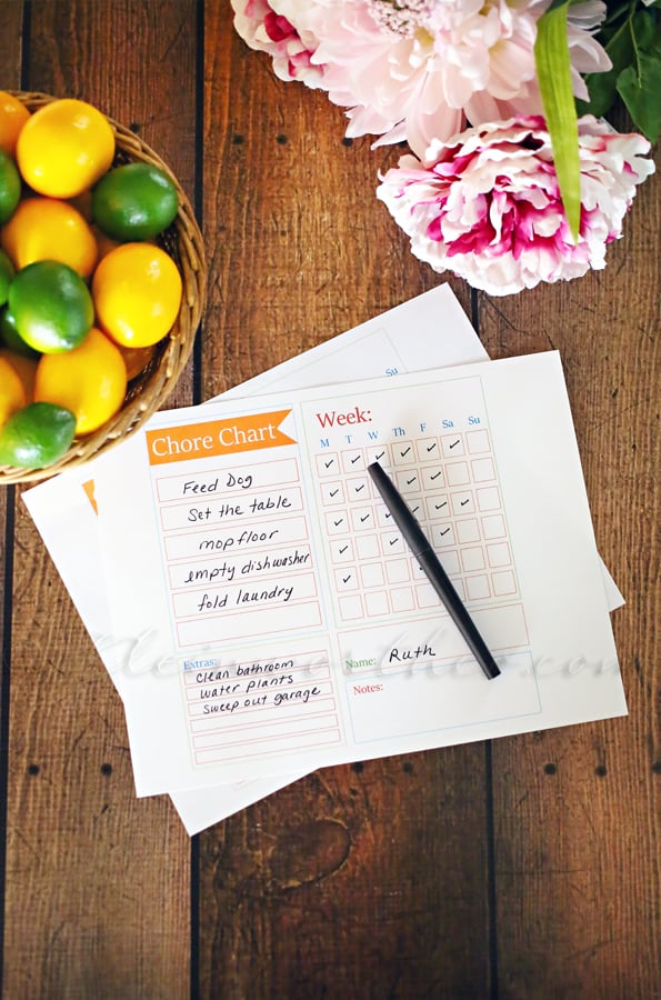 Chore Chart Checklist