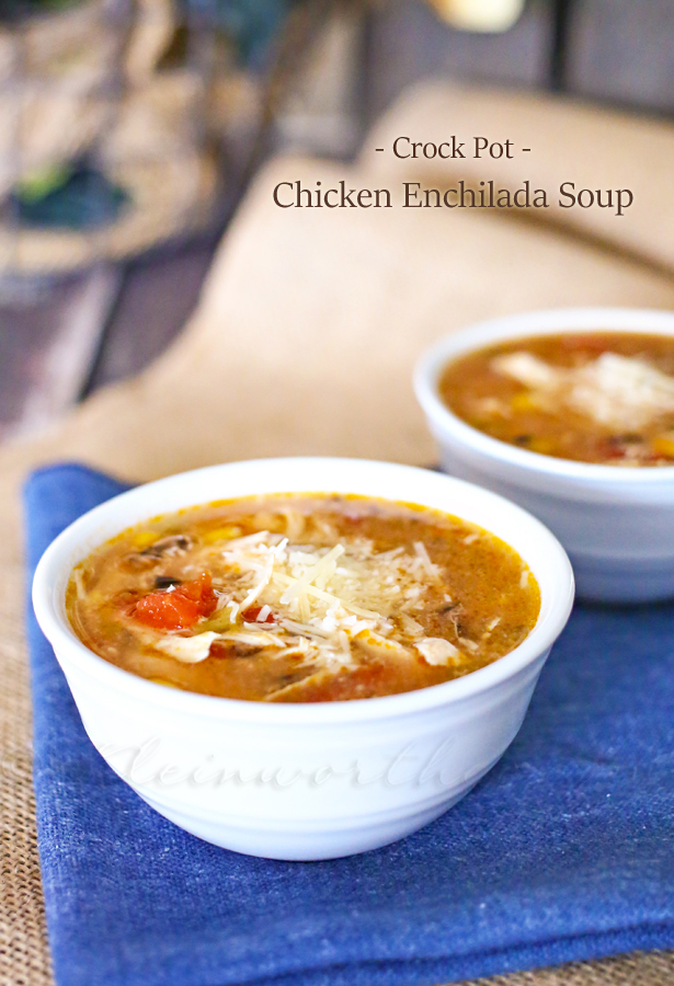 Crock Pot Chicken Enchilada Soup