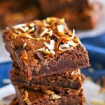 Toasted Coconut Flourless Brownies