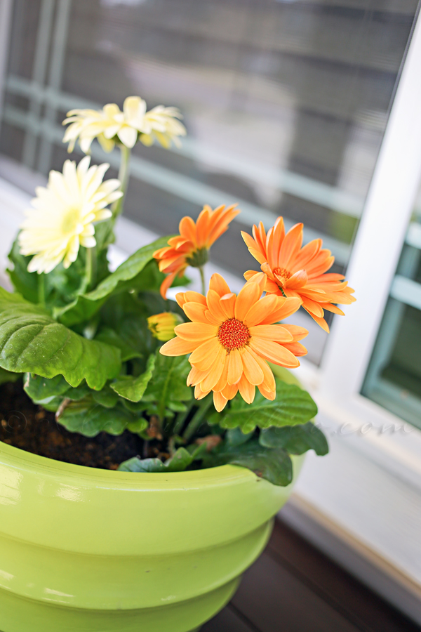 Summer Porch Makeover