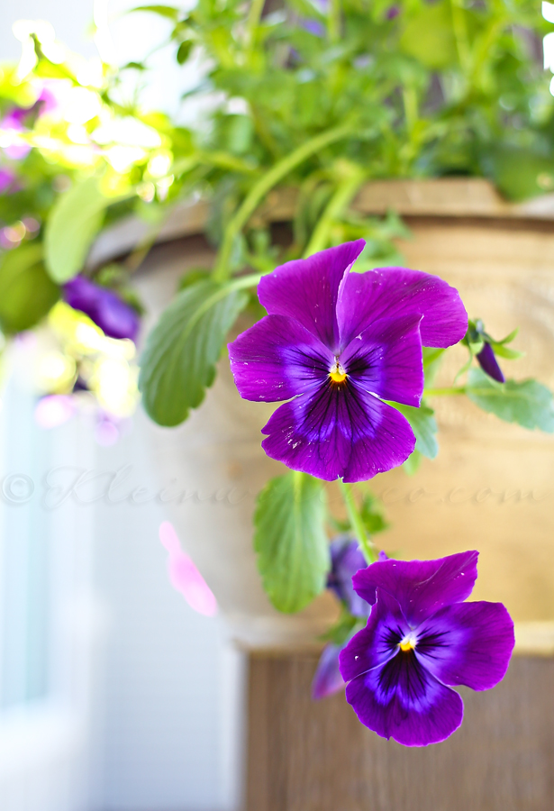 Summer Porch Makeover