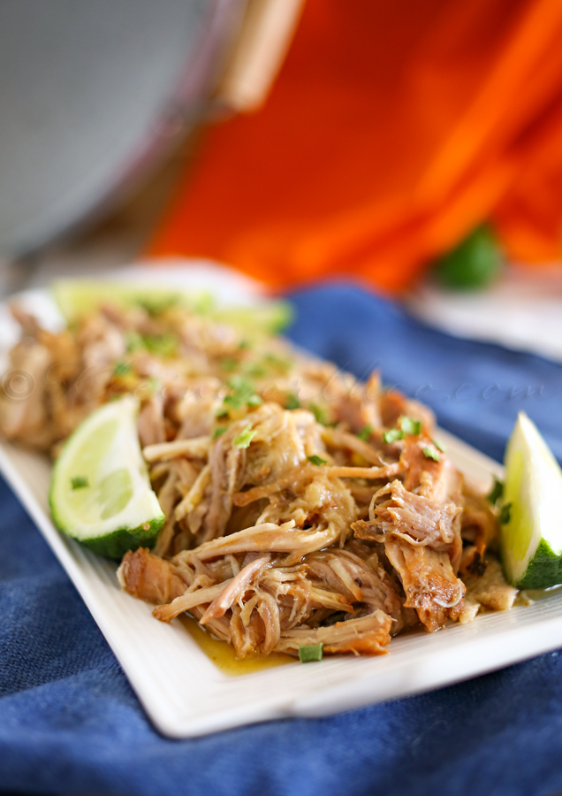 Sweet Pork Barbacoa :Easy Family Dinner Ideas