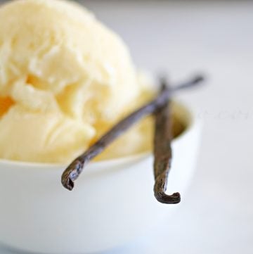 Classic Vanilla Frozen Yogurt