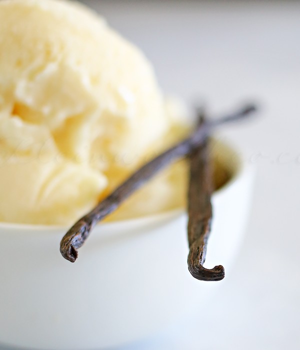 Classic Vanilla Frozen Yogurt