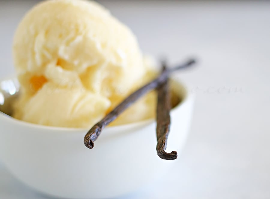 Classic Vanilla Frozen Yogurt - Taste of the Frontier