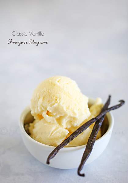 Classic Vanilla Frozen Yogurt