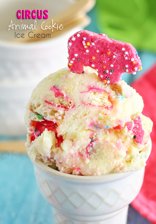 Circus Animal Cookie Ice Cream