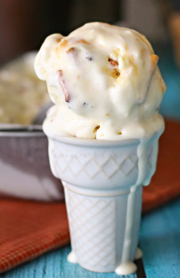 Salted Caramel Pretzel Ice Cream