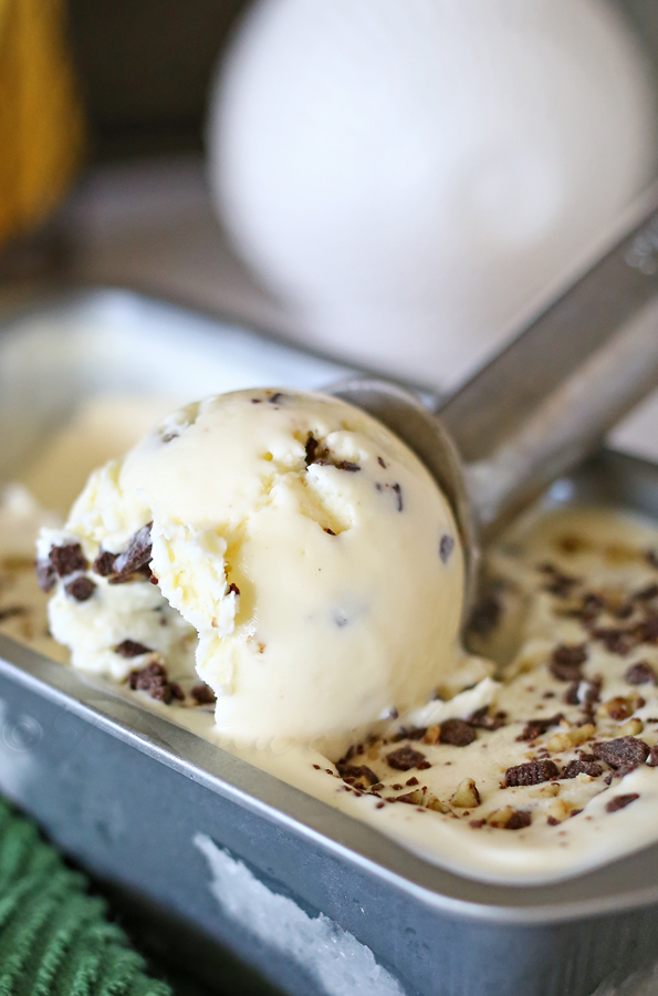 Mint Chocolate Chip Ice Cream