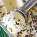 Mint Chocolate Chip Ice Cream