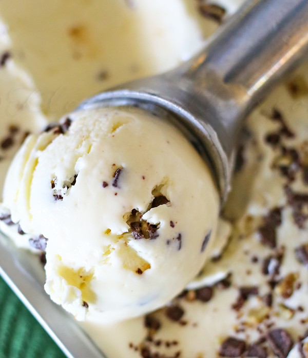 Mint Chocolate Chip Ice Cream