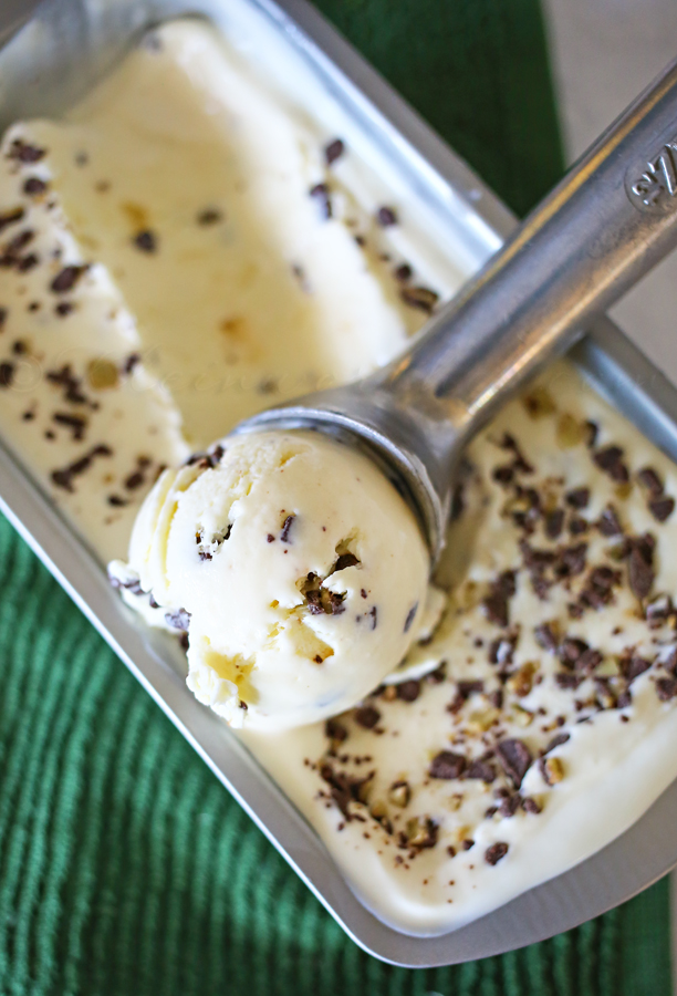 Mint Chocolate Chip Ice Cream