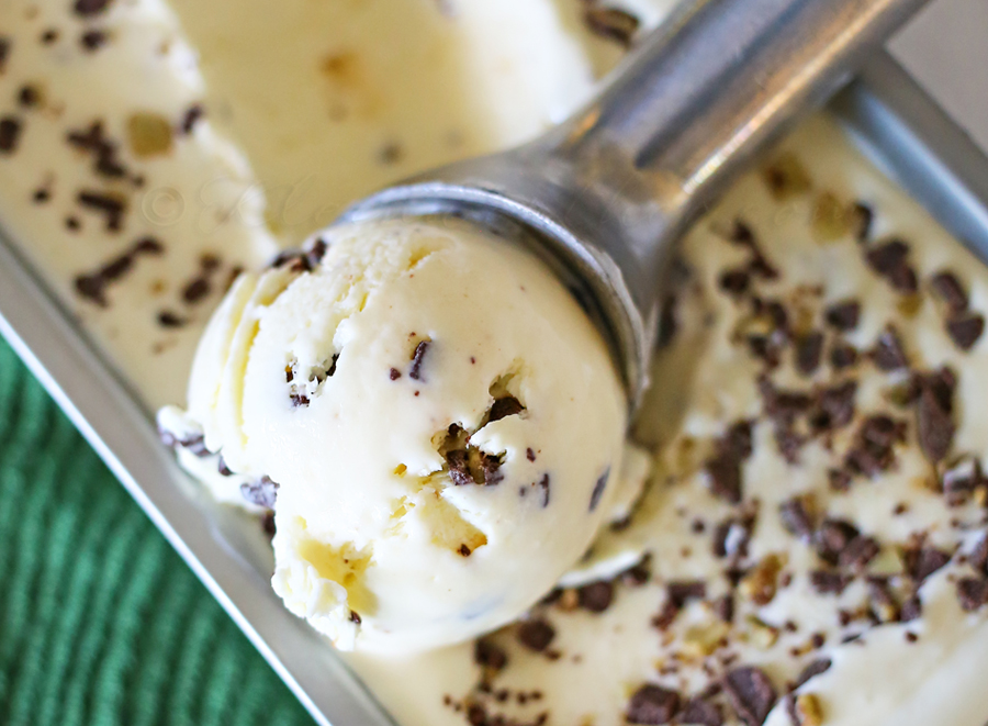 Mint Chocolate Chip Ice Cream