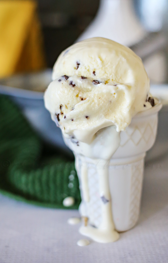 Mint Chocolate Chip Ice Cream