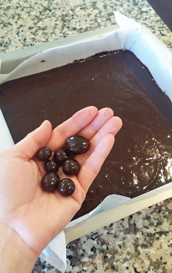 Dark Chocolate Blueberry Brownies