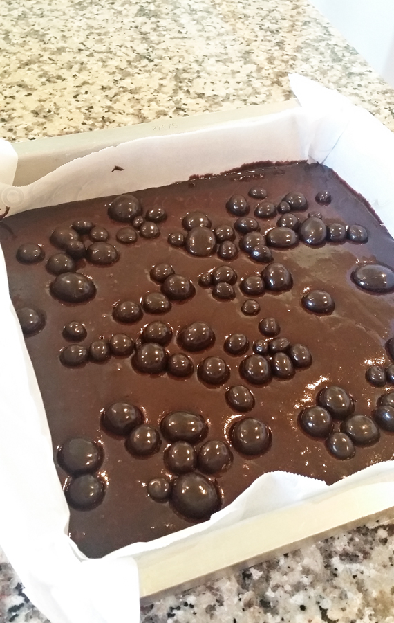 Dark Chocolate Blueberry Brownies