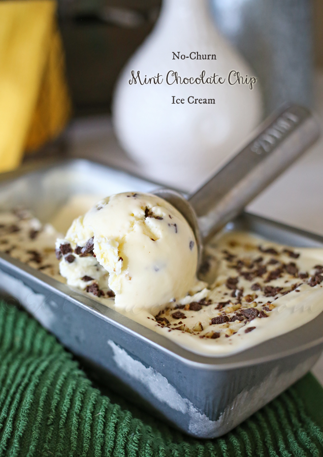 Mint Chocolate Chip Ice Cream