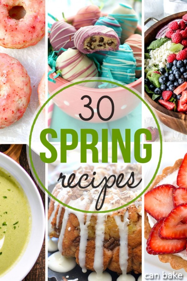 30 Amazing Spring Recipes has everything you could ever want. Cookies, cheesecake, truffles, cake & more. Perfect for Easter celebrations too! I know I will be making these even through summer. YUM-O!