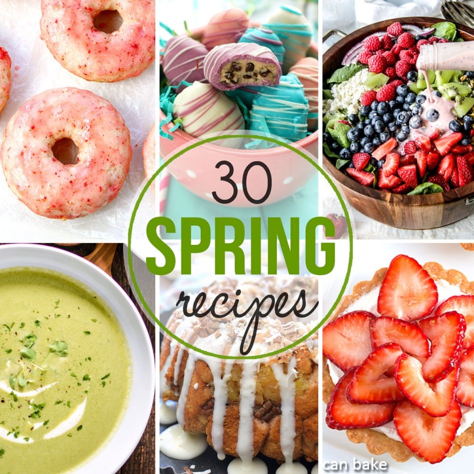 30 Amazing Spring Recipes has everything you could ever want. Cookies, cheesecake, truffles, cake & more. Perfect for Easter celebrations too! I know I will be making these even through summer. YUM-O!