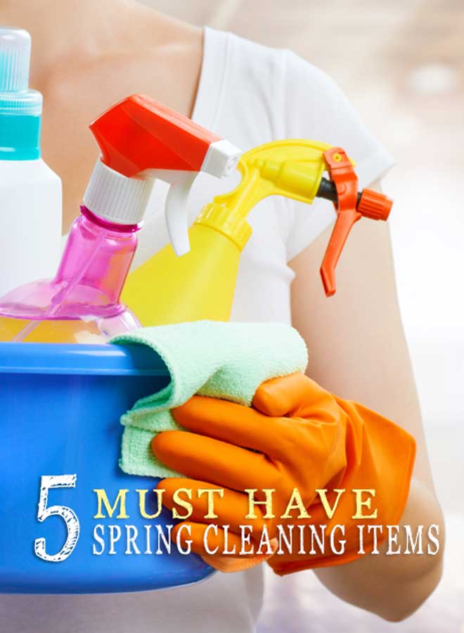 5 Must Have Spring Cleaning Items - Taste of the Frontier