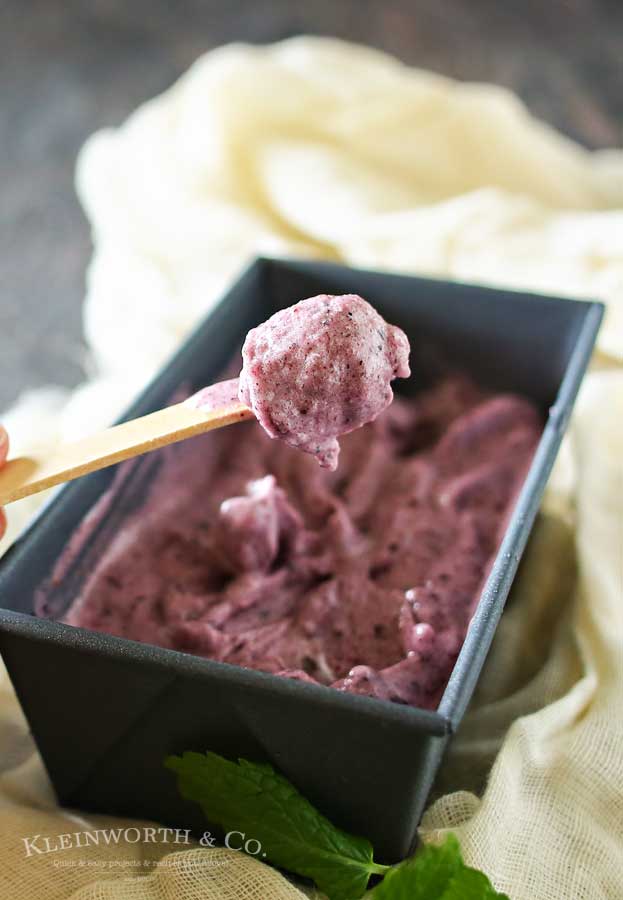Simple Blueberry Ice Cream is a delicious dairy-free, 3-ingredient recipe with just blueberries, bananas & honey. It takes just a couple minutes & a blender! It's a nutritious dessert that you won't feel guilty about.