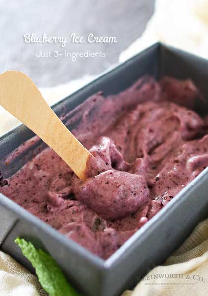 Simple Blueberry Ice Cream