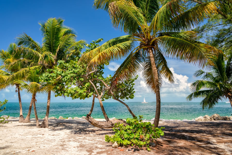 The beauty of Key West & enjoying delicious recipes like Grouper Fritters make the perfect vacation. For an unforgettable trip - it's a must!