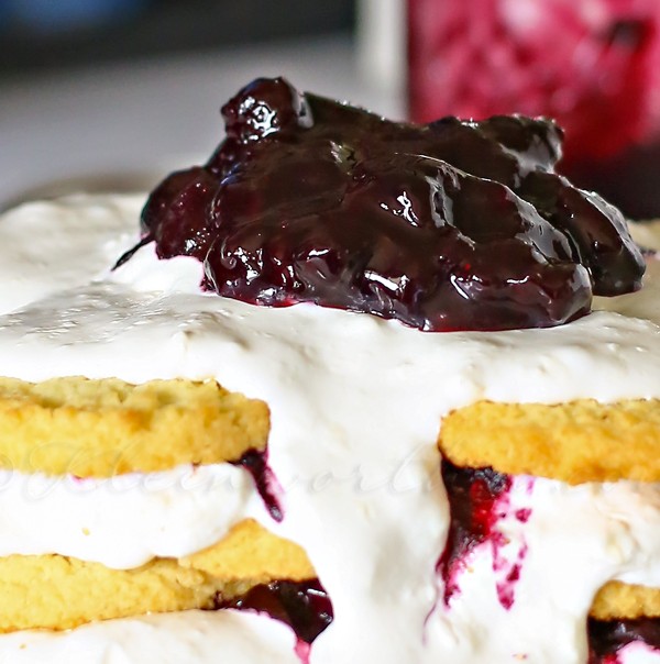 Blueberry Ice Box Cake is a simple no-bake dessert idea that everyone loves. Cookies, whipped cream & homemade blueberry pie filling are a perfect combo that you can't pass up! Definitely the perfect warm weather treat!
