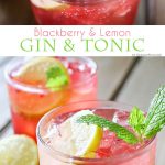 Blackberry Lemon Gin & Tonic is one of our favorite mixed drinks. It's one of those perfect cocktails for a hot summer day. Blackberries, lemon & gin is a delicious combination! Serve it at all your parties & backyard BBQ's.
